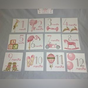 Sweet Caroline Designs Baby Girl First Year Monthly Milestone Cards 12 months